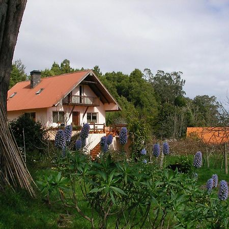 Bio Quinta Do Pantano, Agro Turismo Villa Santo Antonio da Serra Bagian luar foto