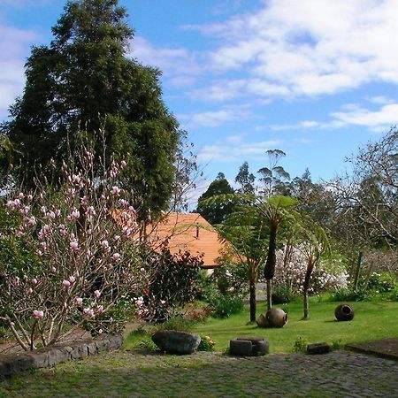 Bio Quinta Do Pantano, Agro Turismo Villa Santo Antonio da Serra Bagian luar foto