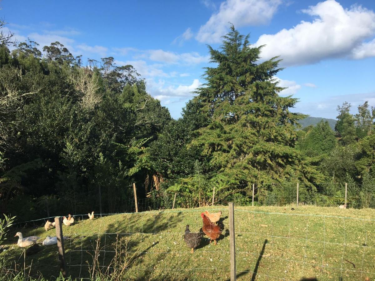 Bio Quinta Do Pantano, Agro Turismo Villa Santo Antonio da Serra Bagian luar foto