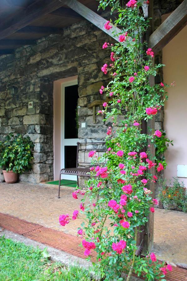 Bio Quinta Do Pantano, Agro Turismo Villa Santo Antonio da Serra Bagian luar foto