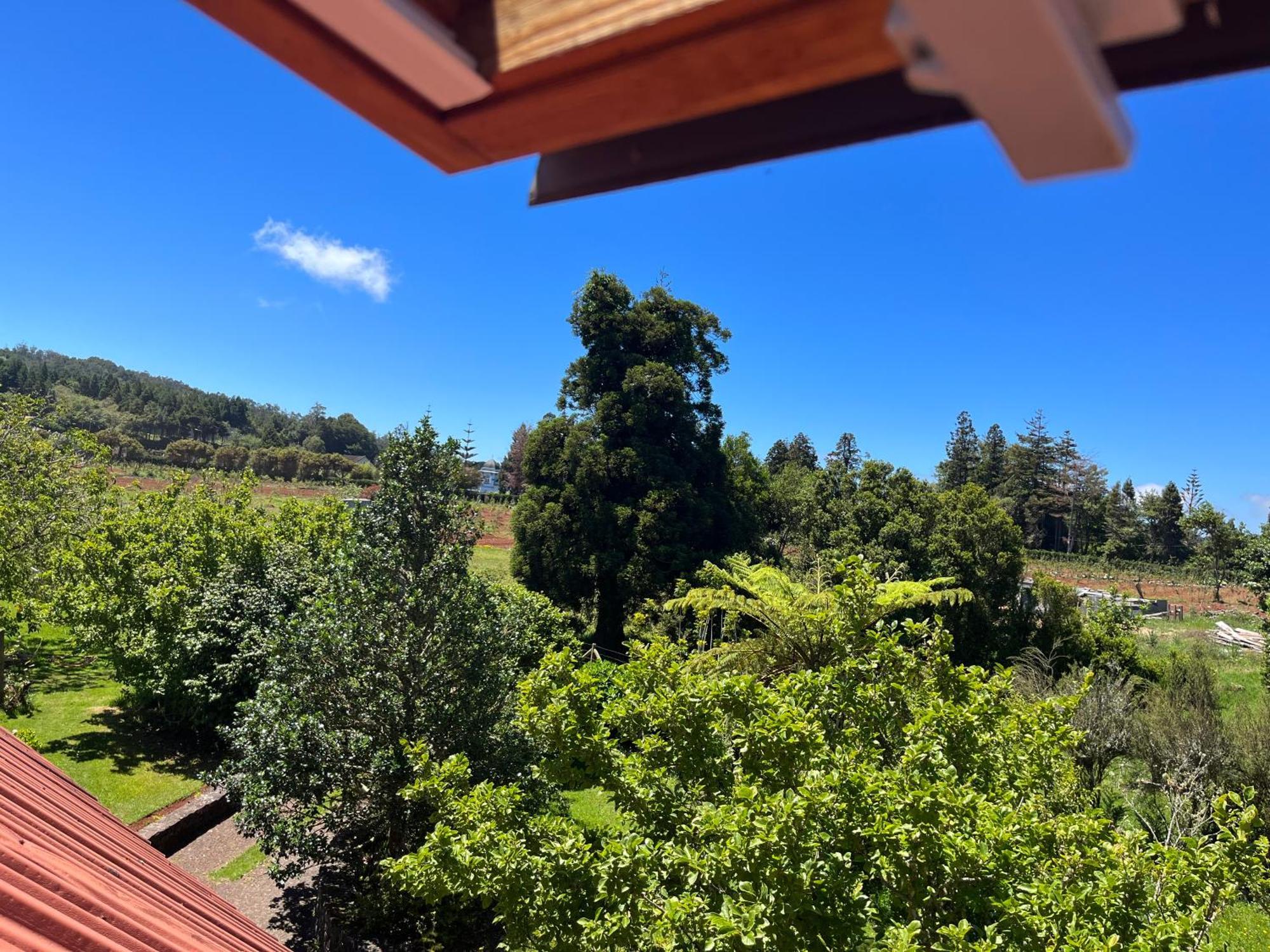 Bio Quinta Do Pantano, Agro Turismo Villa Santo Antonio da Serra Bagian luar foto