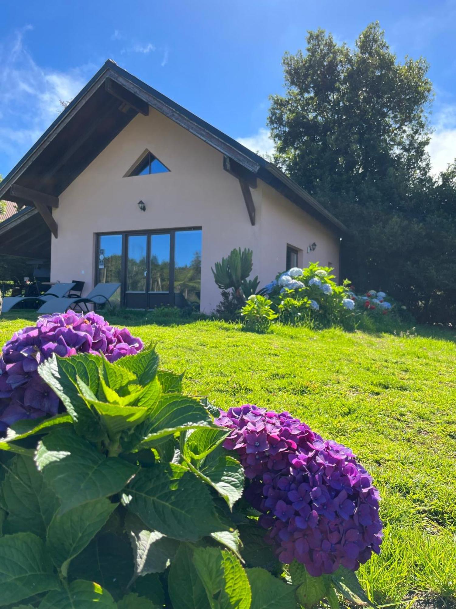 Bio Quinta Do Pantano, Agro Turismo Villa Santo Antonio da Serra Bagian luar foto