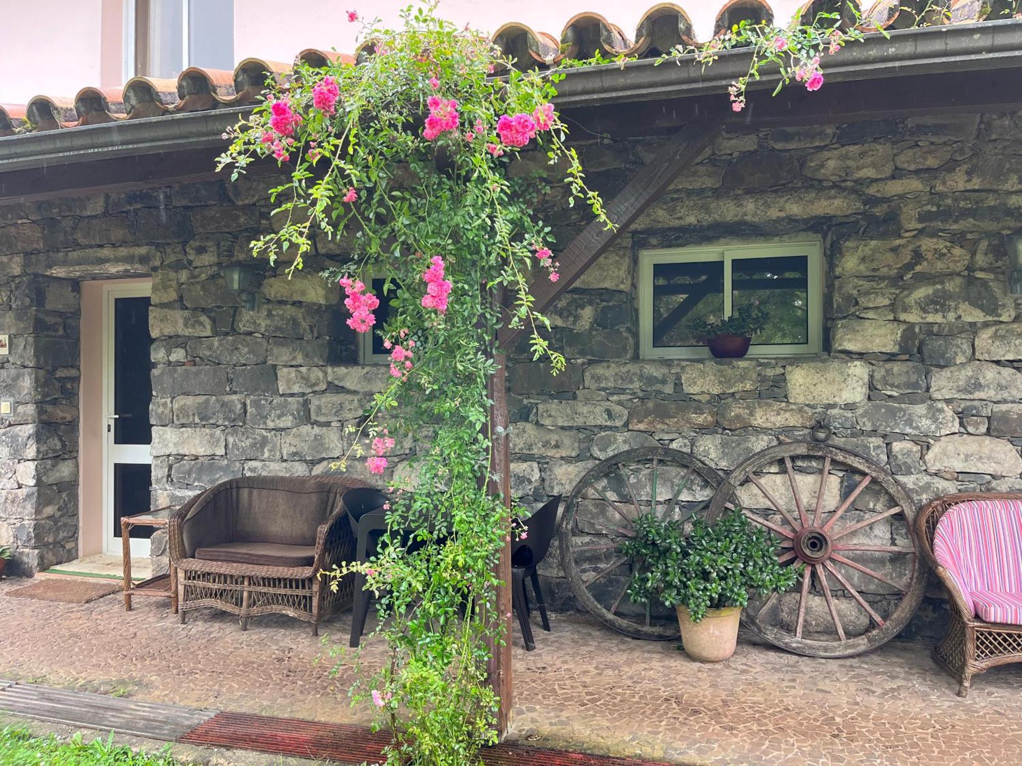 Bio Quinta Do Pantano, Agro Turismo Villa Santo Antonio da Serra Bagian luar foto