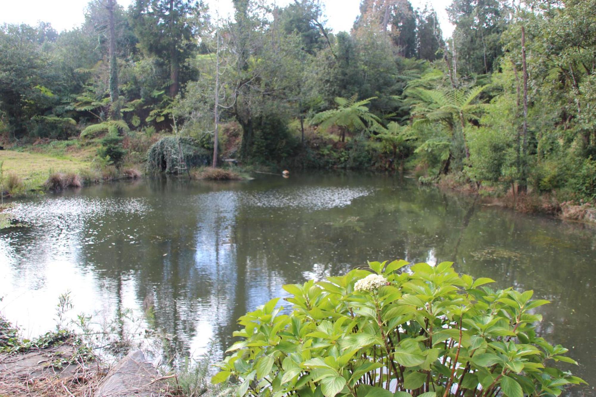Bio Quinta Do Pantano, Agro Turismo Villa Santo Antonio da Serra Bagian luar foto