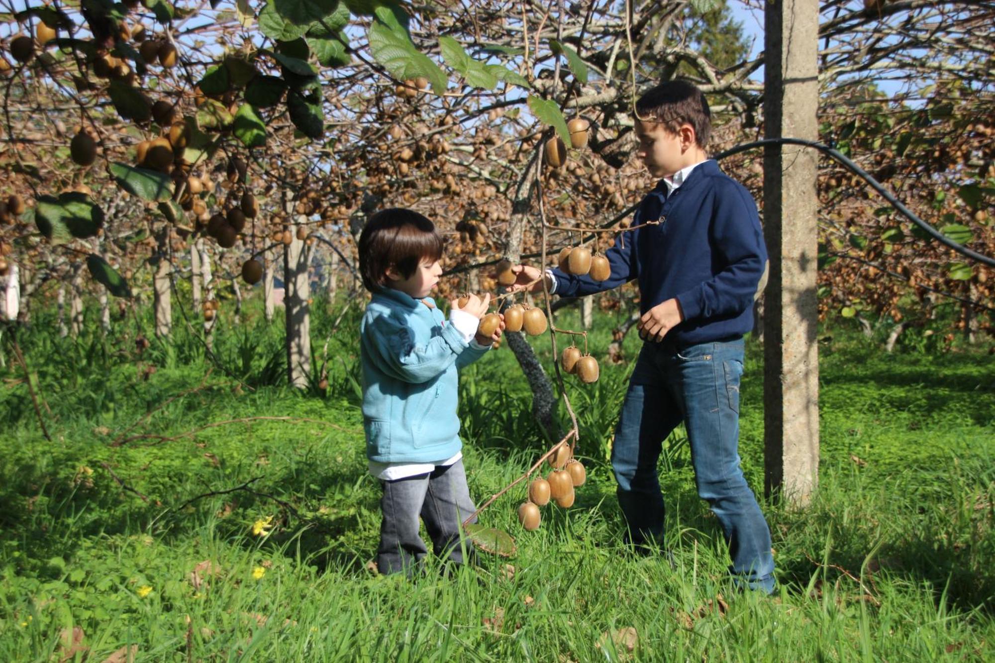 Bio Quinta Do Pantano, Agro Turismo Villa Santo Antonio da Serra Bagian luar foto