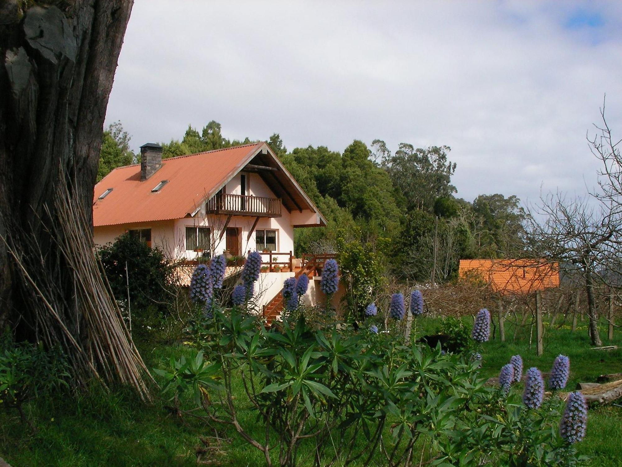 Bio Quinta Do Pantano, Agro Turismo Villa Santo Antonio da Serra Bagian luar foto