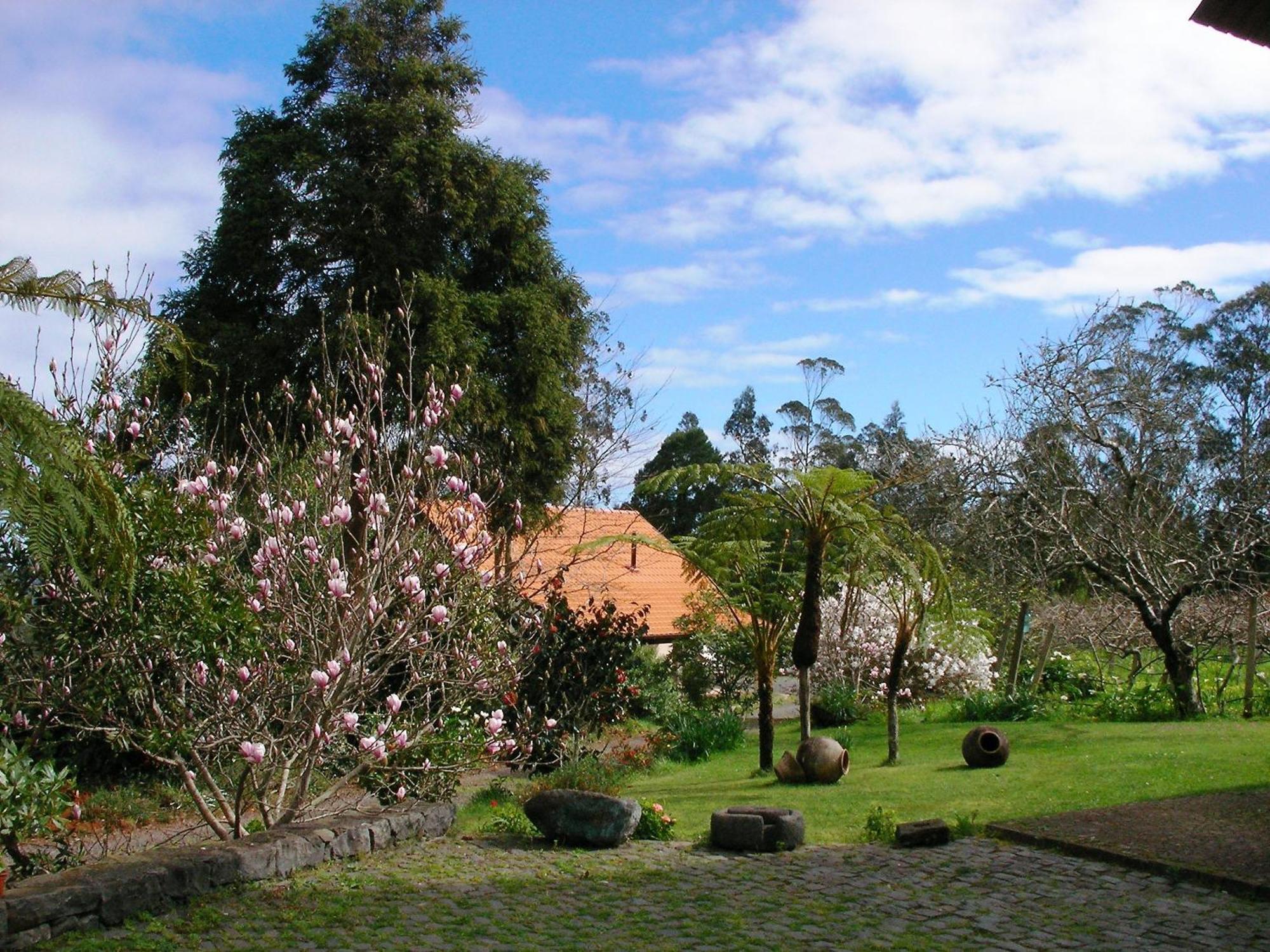 Bio Quinta Do Pantano, Agro Turismo Villa Santo Antonio da Serra Bagian luar foto