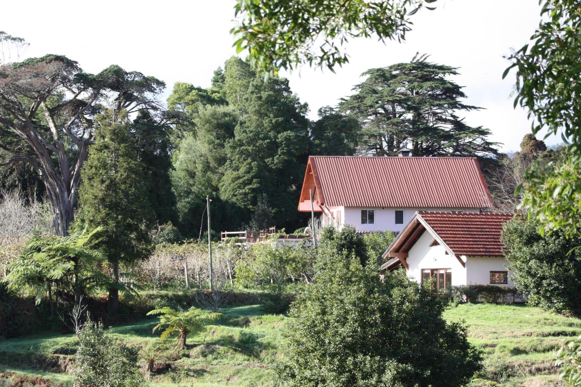 Bio Quinta Do Pantano, Agro Turismo Villa Santo Antonio da Serra Bagian luar foto