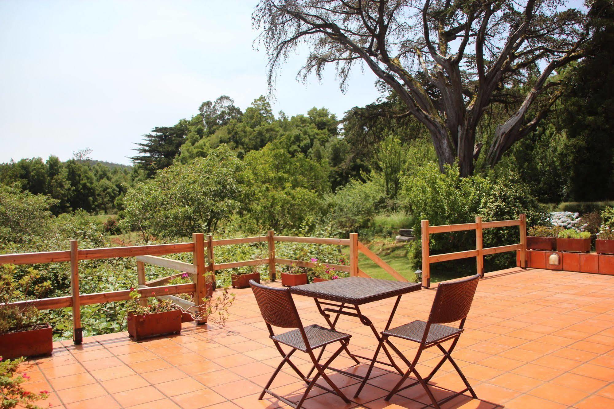 Bio Quinta Do Pantano, Agro Turismo Villa Santo Antonio da Serra Bagian luar foto