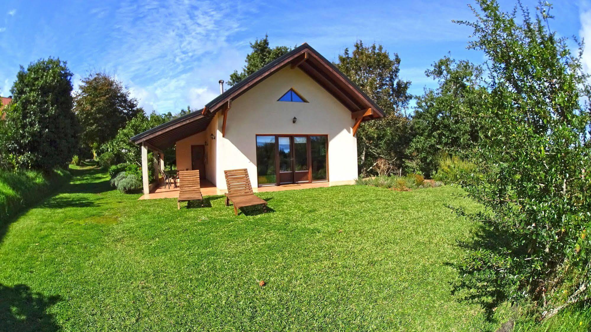 Bio Quinta Do Pantano, Agro Turismo Villa Santo Antonio da Serra Bagian luar foto